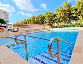 apartment rent gandia by 550 eur