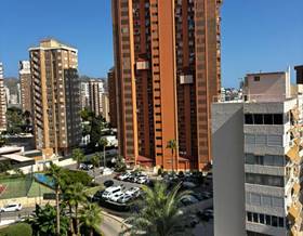 flat rent benidorm calle la pipa by 850 eur