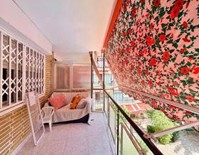 flat rent benidorm avenida de murcia by 950 eur