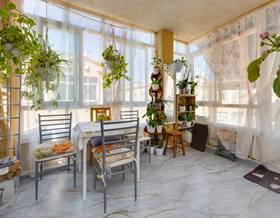 houses for sale in los montesinos