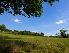 land sale oviedo quintanal  olloniego by 21,500 eur