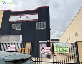 industrial warehouses for rent in almoradi