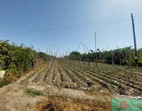rustic property sale motril pago de balabarca by 30,000 eur