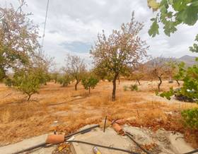 lands for sale in sorbas