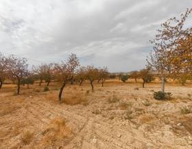 lands for sale in uleila del campo