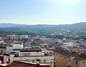 flat rent caceres plasencia by 600 eur