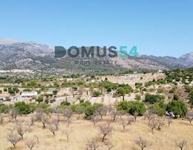 lands for sale in llubi