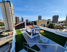 apartments for rent in benidorm