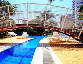 apartment rent gandia playa de gandia by 650 eur