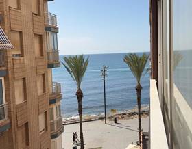 apartment rent torrevieja paseo maritimo by 1,150 eur
