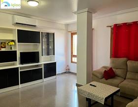 flat rent almoradi plaza libertad by 560 eur