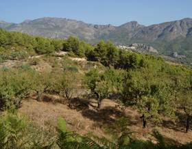 land sale benimantell by 98,000 eur