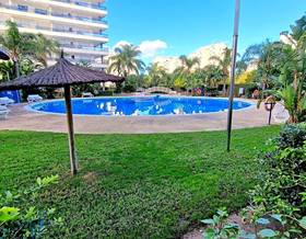 apartment rent gandia playa de gandia by 650 eur