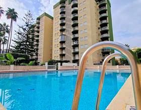 apartment rent gandia playa de gandia by 650 eur