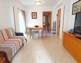 apartment rent gandia playa de gandia by 550 eur