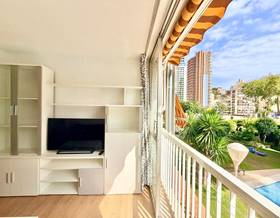 studios for rent in benidorm