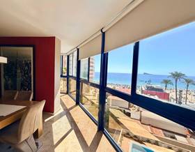 flat rent alicante benidorm by 1,800 eur