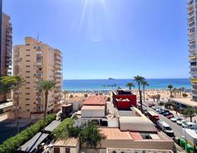 houses for rent in alicante province