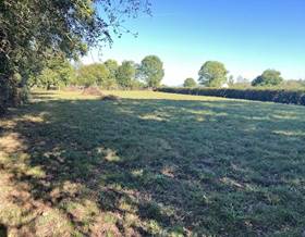lands for sale in olloniego
