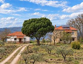 land sale montanchez montanchez by 155,000 eur