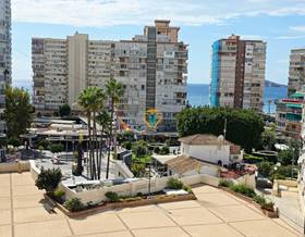 flat sale benidorm levante by 350,000 eur