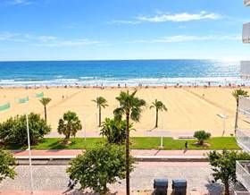 apartment rent gandia playa de gandia by 850 eur