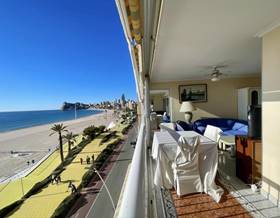 flat rent alicante benidorm by 1,300 eur
