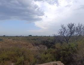land sale elche elx elche / elx by 149,990 eur