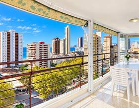 apartment sale benidorm avenida del mediterraneo by 450,000 eur