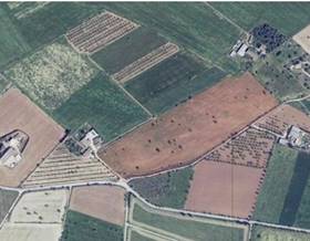 land sale campos campos by 425,000 eur