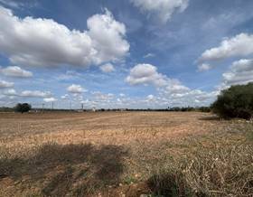 lands for sale in campos