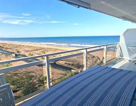 apartments for sale in real de gandia