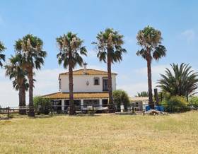 rustic property sale huelva moguer by 1,000,000 eur