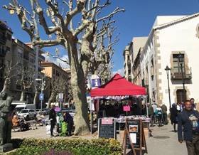 premises for sale in arenys de mar