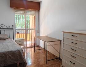 room rent granada plaza de toros by 340 eur