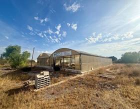 land sale elche elx distrito unico by 99,900 eur