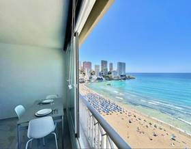 studio rent alicante benidorm by 900 eur