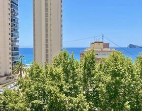 studio rent alicante benidorm by 900 eur
