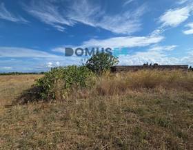 land sale sa pobla by 64,000 eur