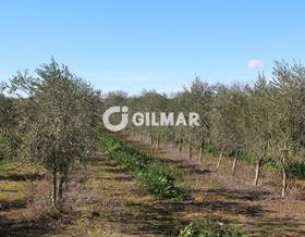 rustic property sale toledo toledo by 2,200,000 eur