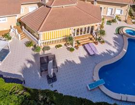 houses for sale in torre de la horadada