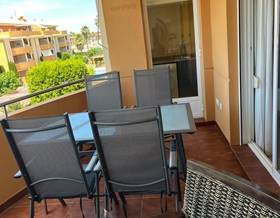apartments for sale in pedreguer