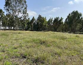 land sale la palma del condado andalucia by 27,000 eur