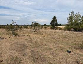 land sale huelva bollullos par del condado by 1,900 eur