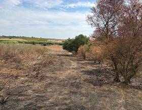 land sale huelva bollullos par del condado by 3,500 eur
