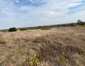 land sale huelva bollullos par del condado by 5,500 eur