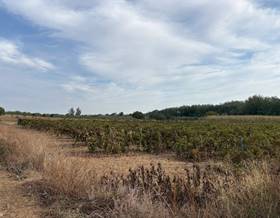 land sale huelva bollullos par del condado by 7,000 eur
