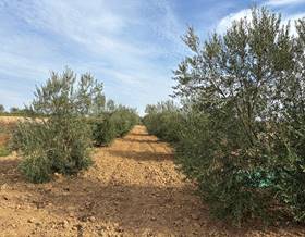 land sale huelva bollullos par del condado by 9,000 eur