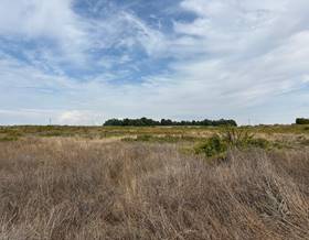 land sale huelva la palma del condado by 24,000 eur