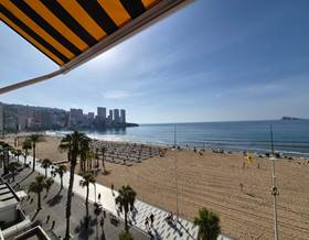 studio sale benidorm 1ª linea by 284,500 eur
